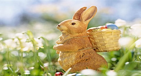 属兔最难熬的年份 属兔最难熬的是哪一年